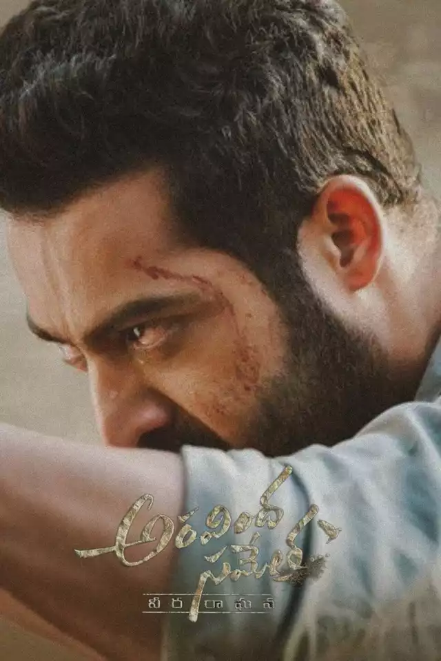 movie vertical poster fallback