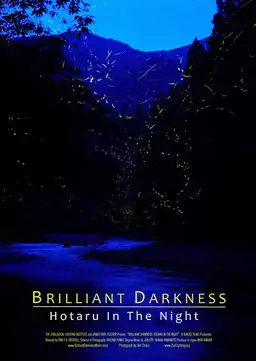 Brilliant Darkness: Hotaru in the Night