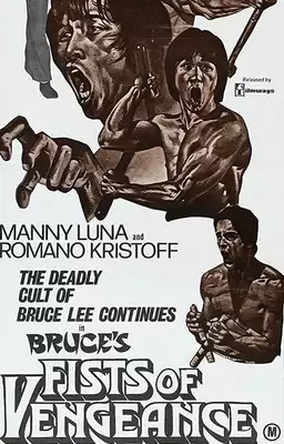 Bruce's Fists Of Vengeance
