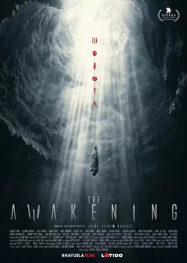 movie vertical poster fallback