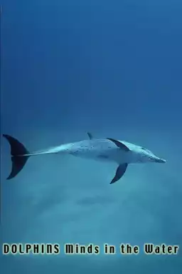 Dolphins: Minds in the Water