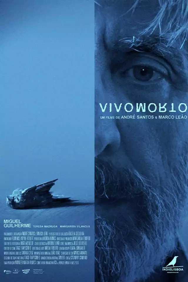 movie vertical poster fallback
