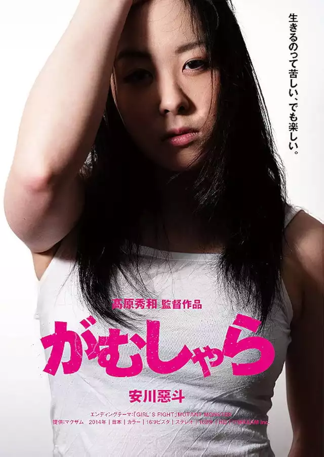 movie vertical poster fallback