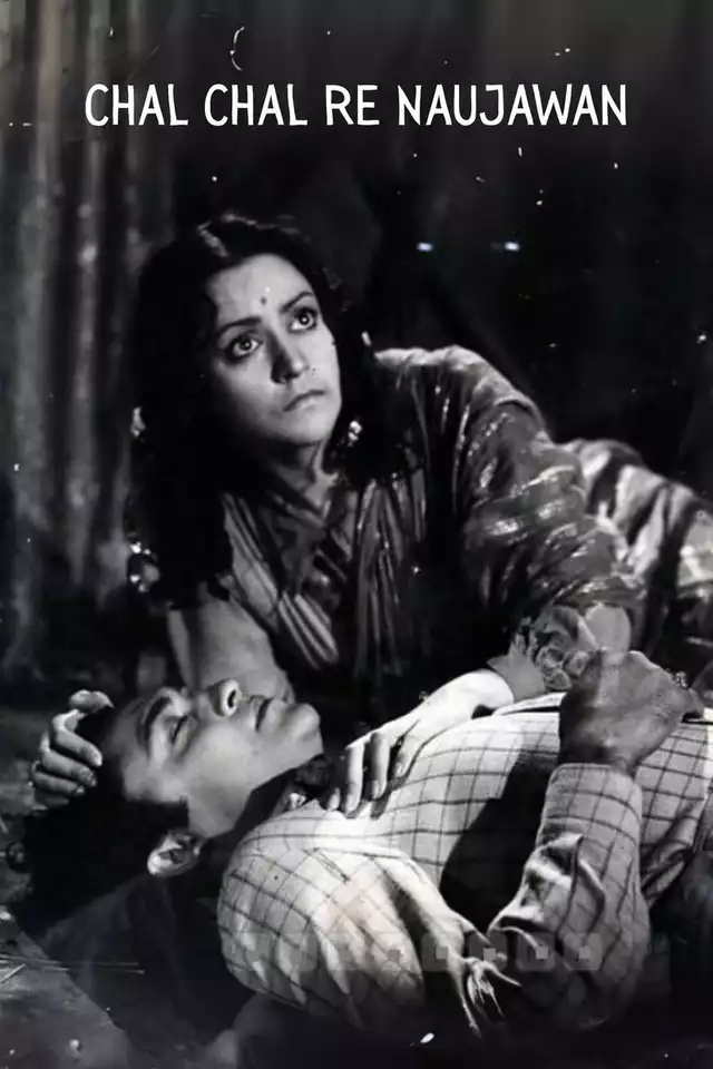 movie vertical poster fallback