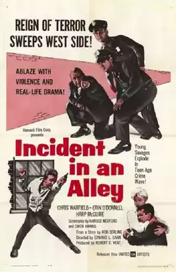 Incident in an Alley