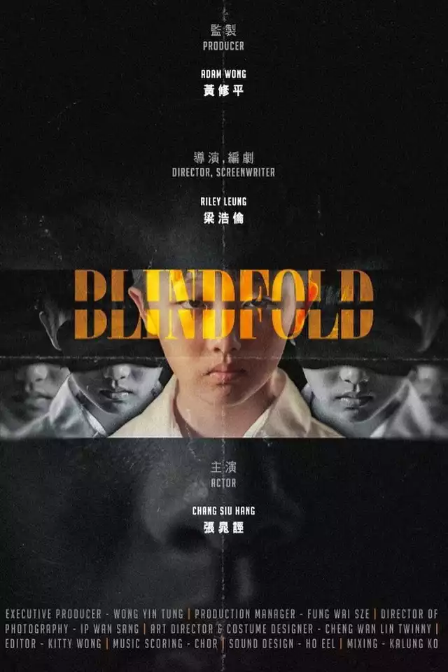 movie vertical poster fallback