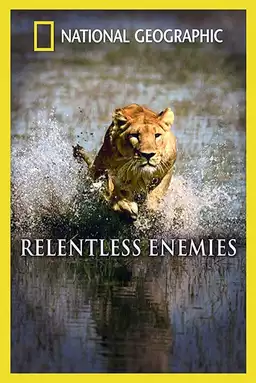 Relentless Enemies