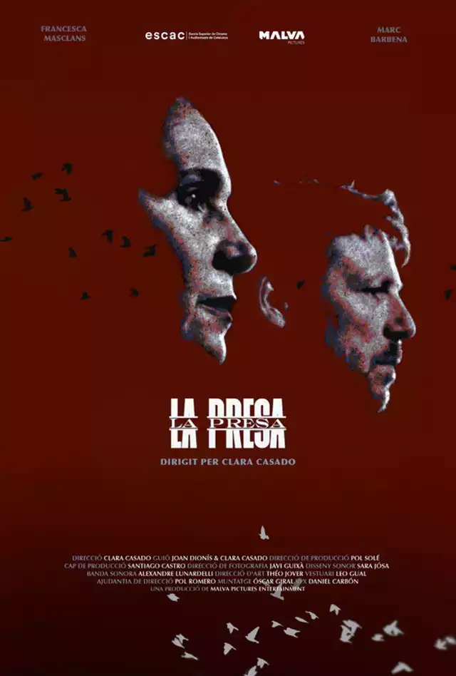 movie vertical poster fallback