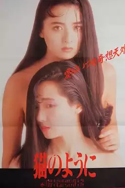 Neko no youni