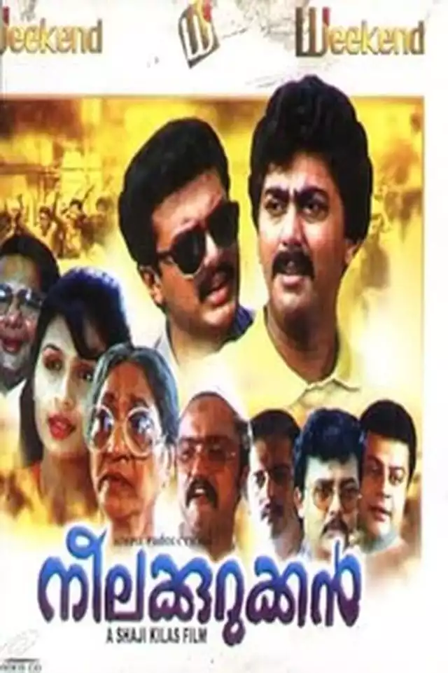 movie vertical poster fallback