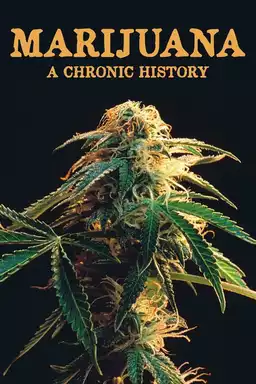 Marijuana: A Chronic History