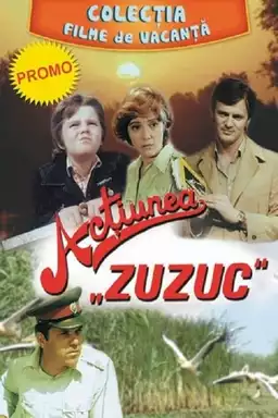 The Zuzuc action