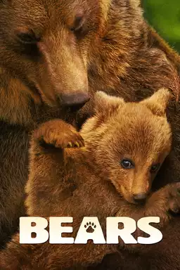 movie Bears