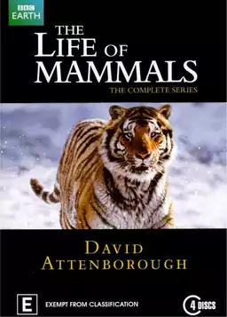 movie La vie des mammifères