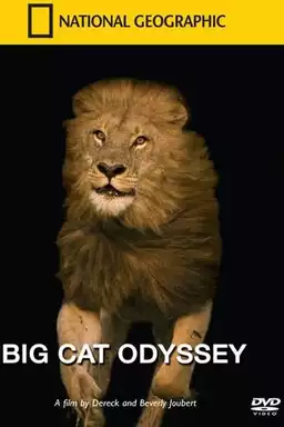 Big Cat Odyssey