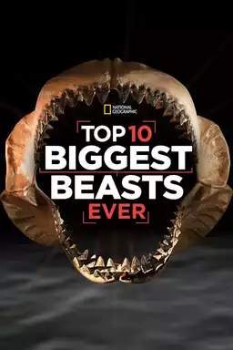 Top 10 Biggest Beasts Ever