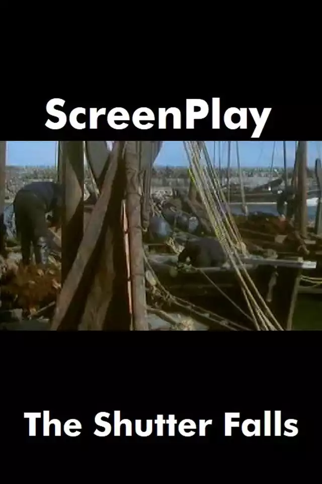 movie vertical poster fallback