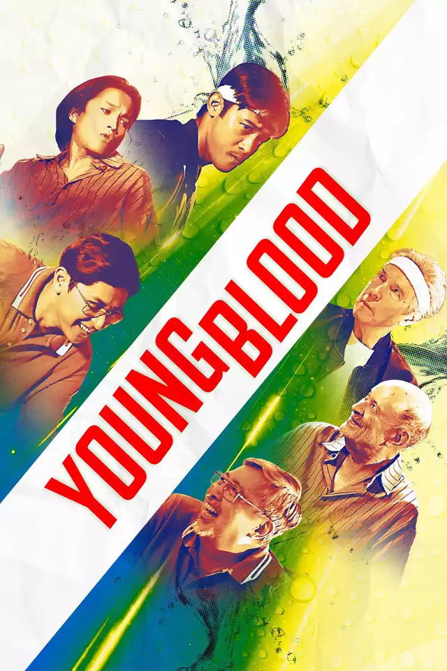 movie vertical poster fallback