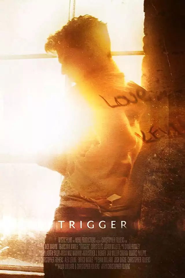 movie vertical poster fallback