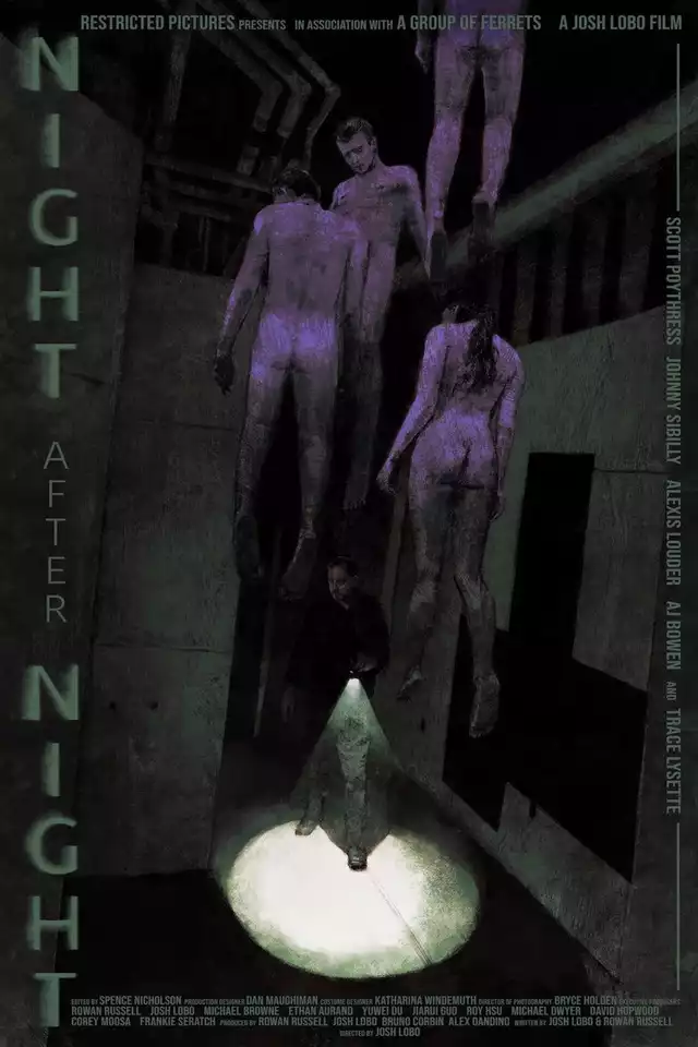 movie vertical poster fallback
