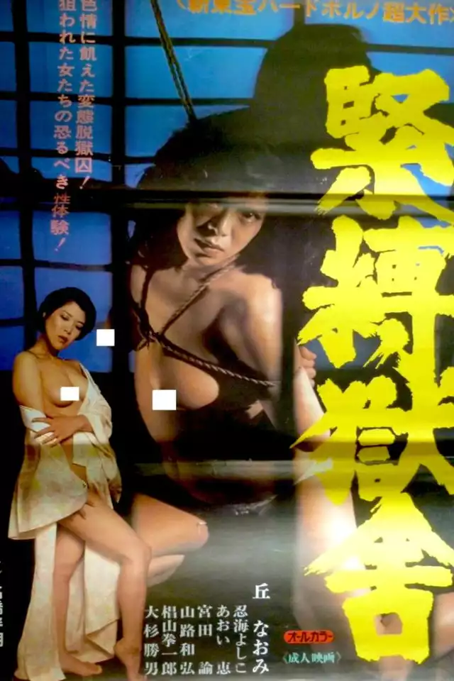 movie vertical poster fallback