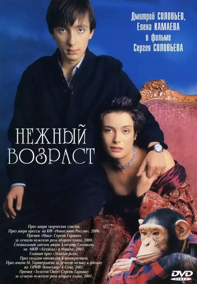 movie vertical poster fallback