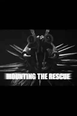 Mounting the Rescue