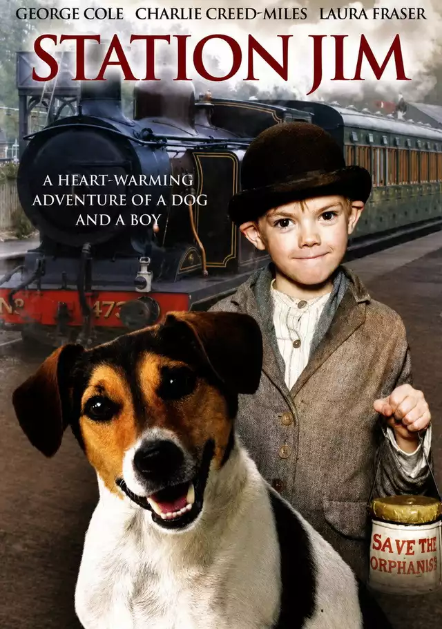 movie vertical poster fallback