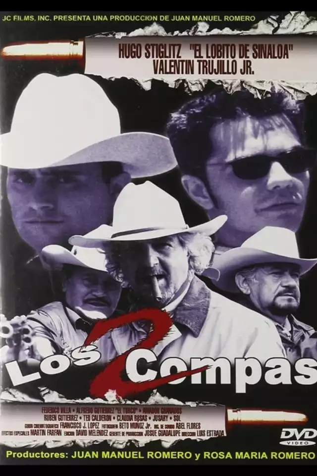 movie vertical poster fallback