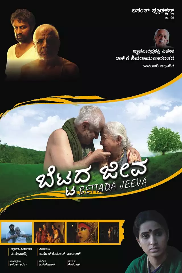 movie vertical poster fallback