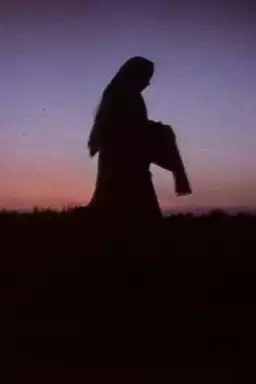 Women in the Shadows