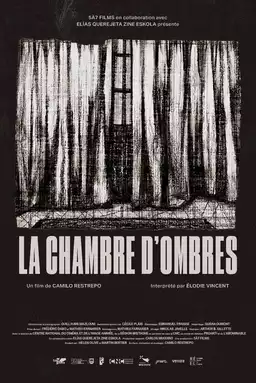 Room of Shadows