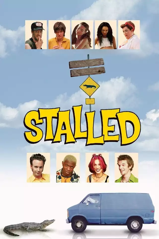 movie vertical poster fallback
