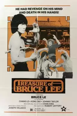 Treasure of Bruce Le
