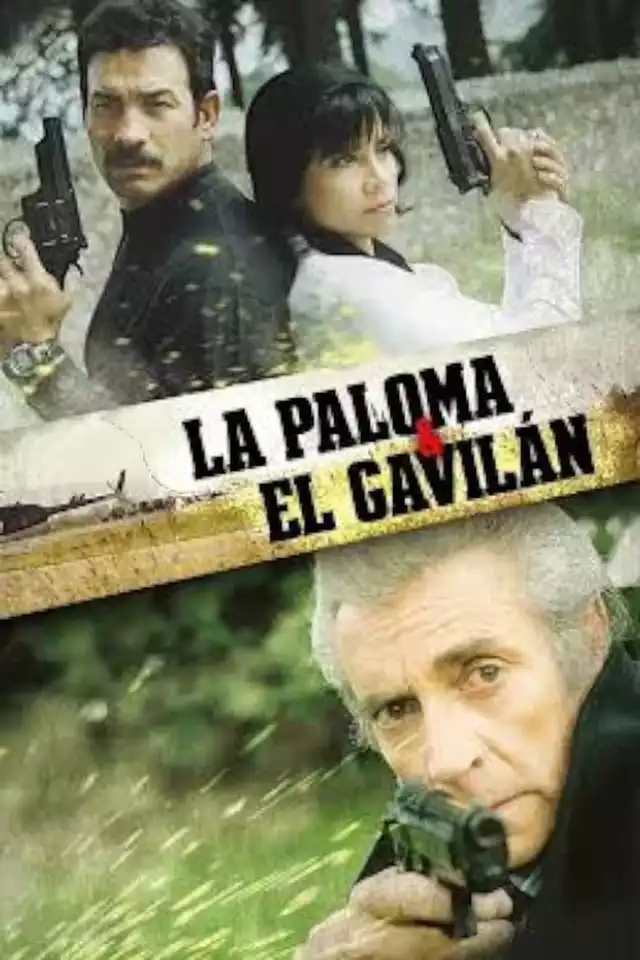 movie vertical poster fallback