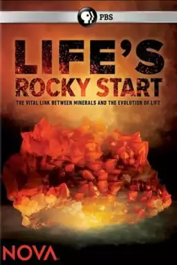 Life's Rocky Start