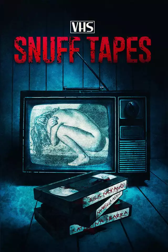 movie vertical poster fallback