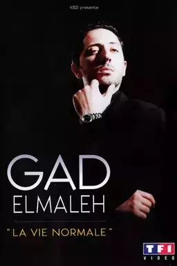 Gad Elmaleh - Normal Life
