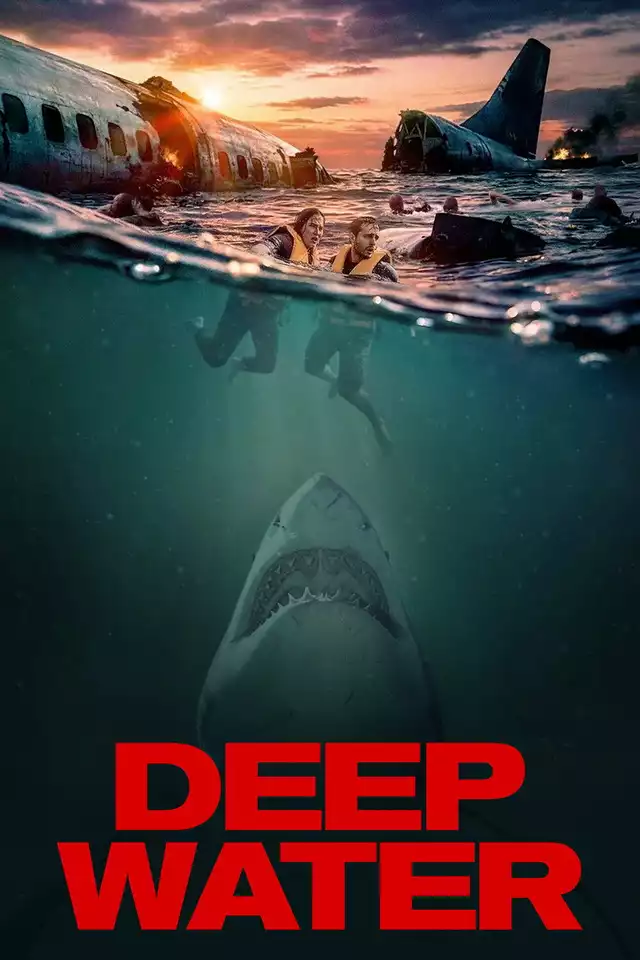 movie vertical poster fallback