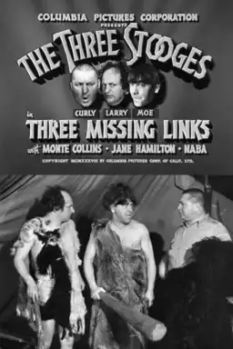 Three Missing Links
