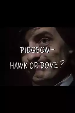 Pidgeon - Hawk or Dove?