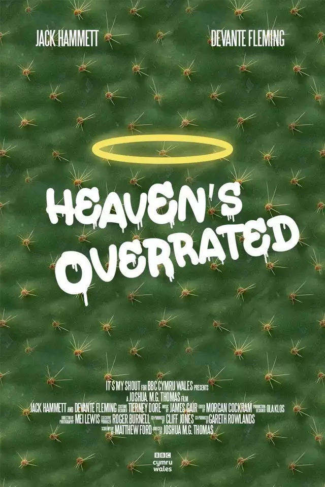 movie vertical poster fallback