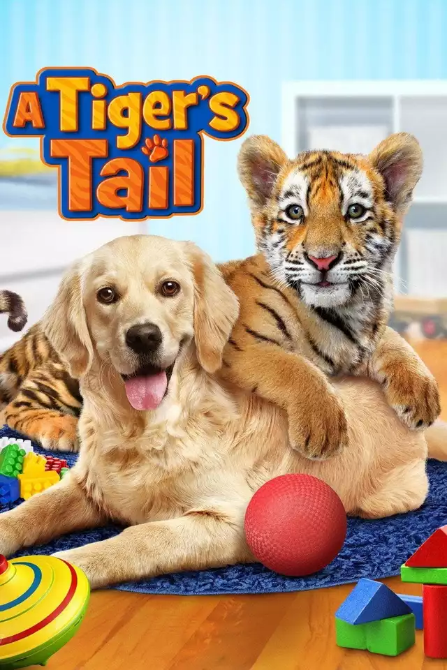 movie vertical poster fallback