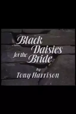 Black Daisies For The Bride