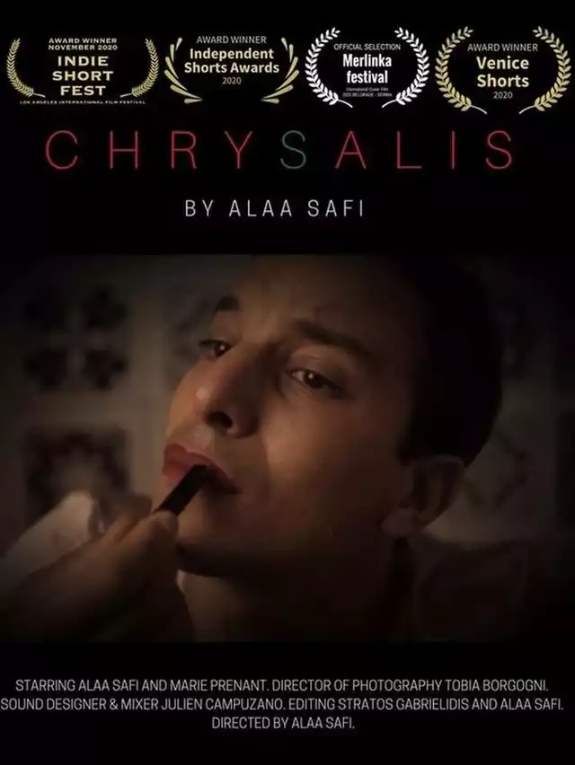movie vertical poster fallback