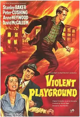 Violent Playground