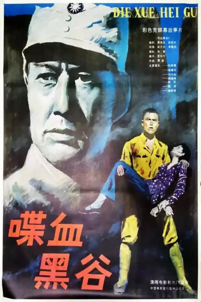movie vertical poster fallback