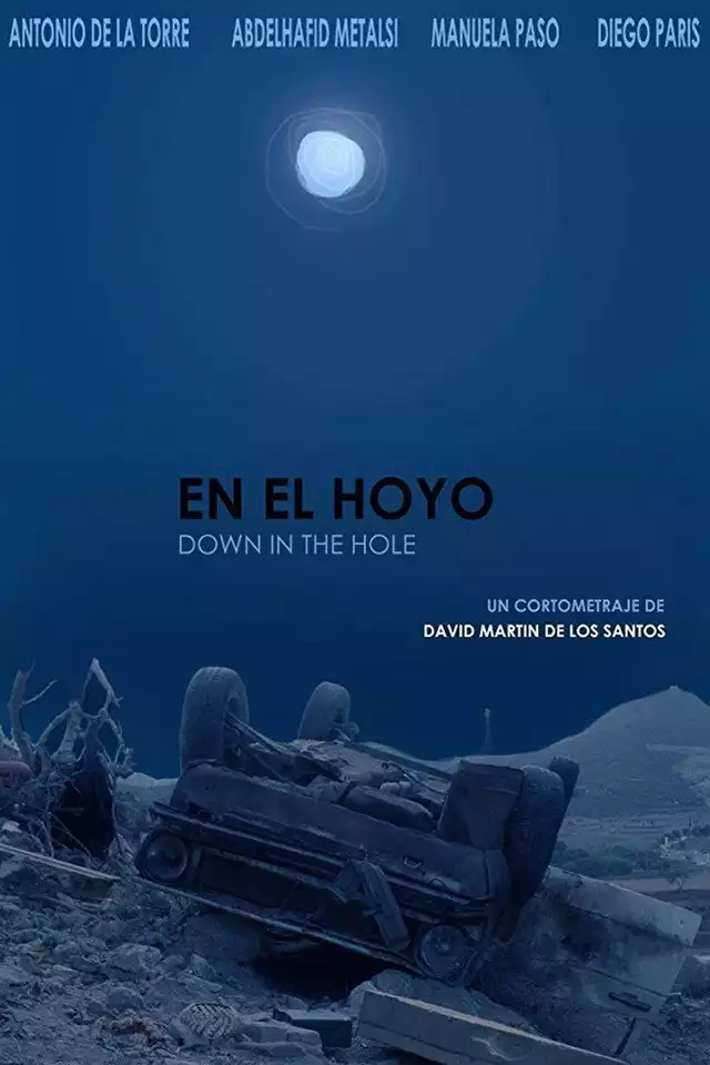 movie vertical poster fallback