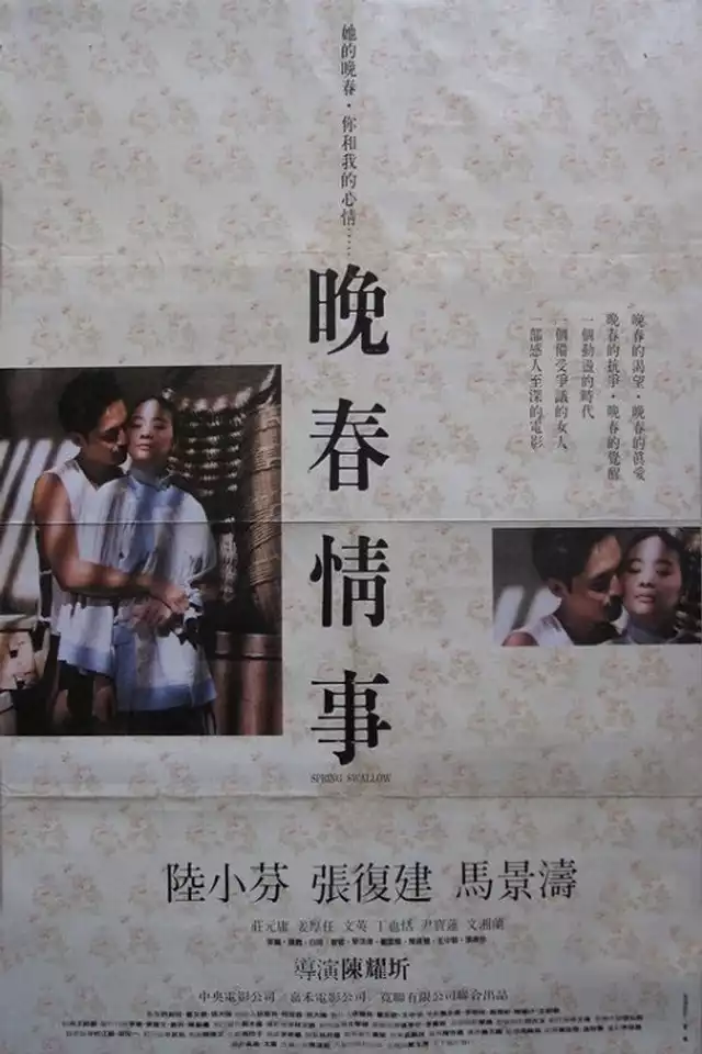 movie vertical poster fallback