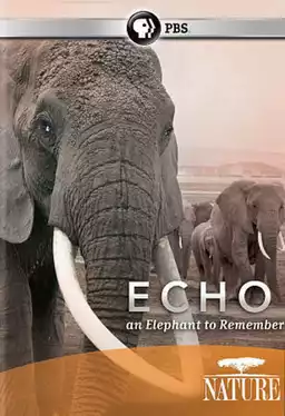 Nature: Echo An Elephant to Remember